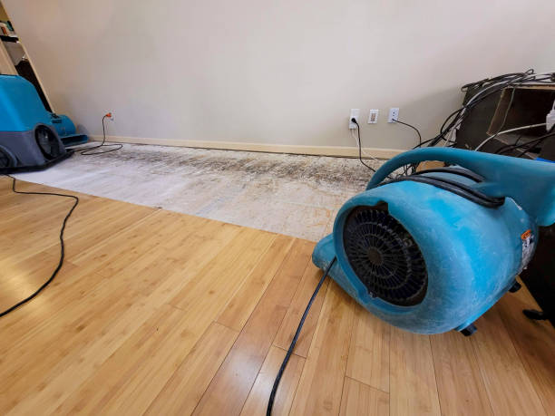 Professional Water Damage Repair technician working in Sunnyside, CA